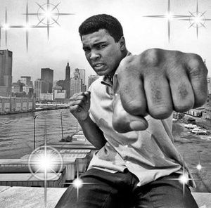 Meet your Posher, Robert